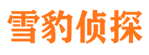 威海侦探调查公司